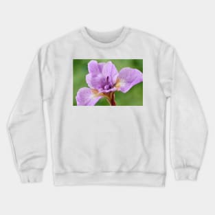 Iris Crewneck Sweatshirt